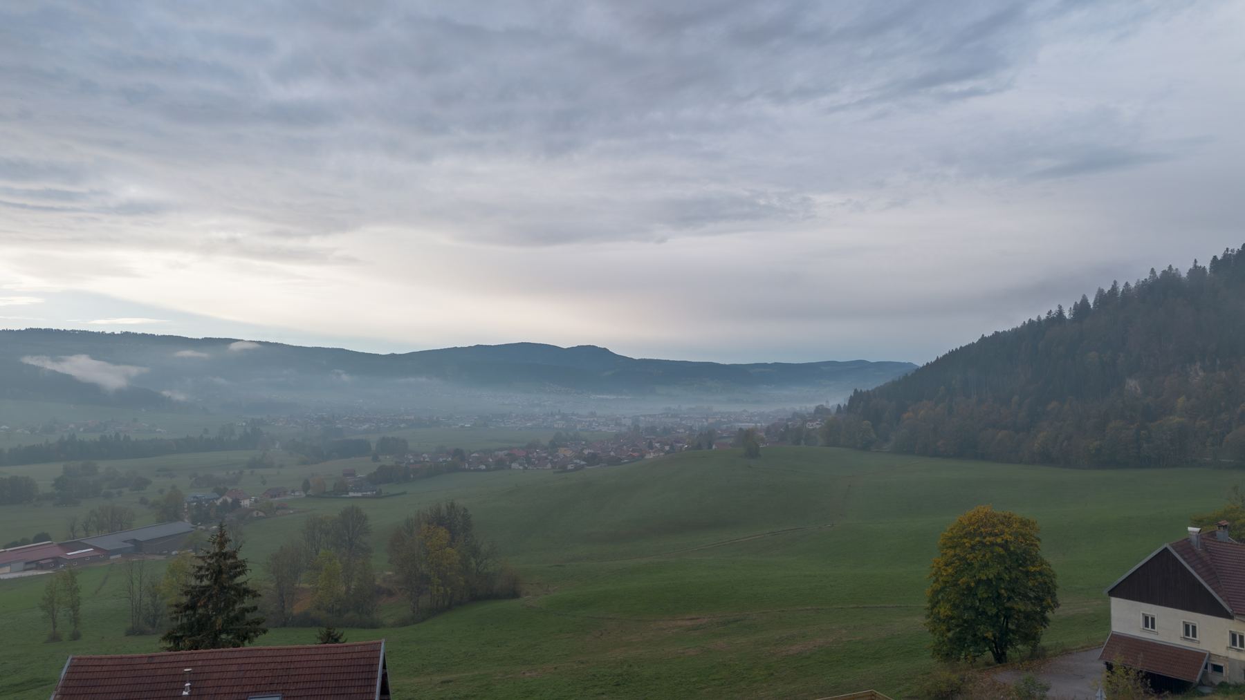 Photo immobilière · Brume du matin · Drone